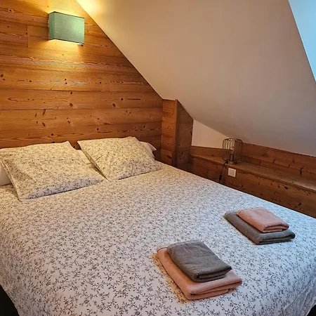 Superbe Duplex Les Pieds Dans L'eau Vue Et Chateau Avec Et Parking Prives Apartment Duingt